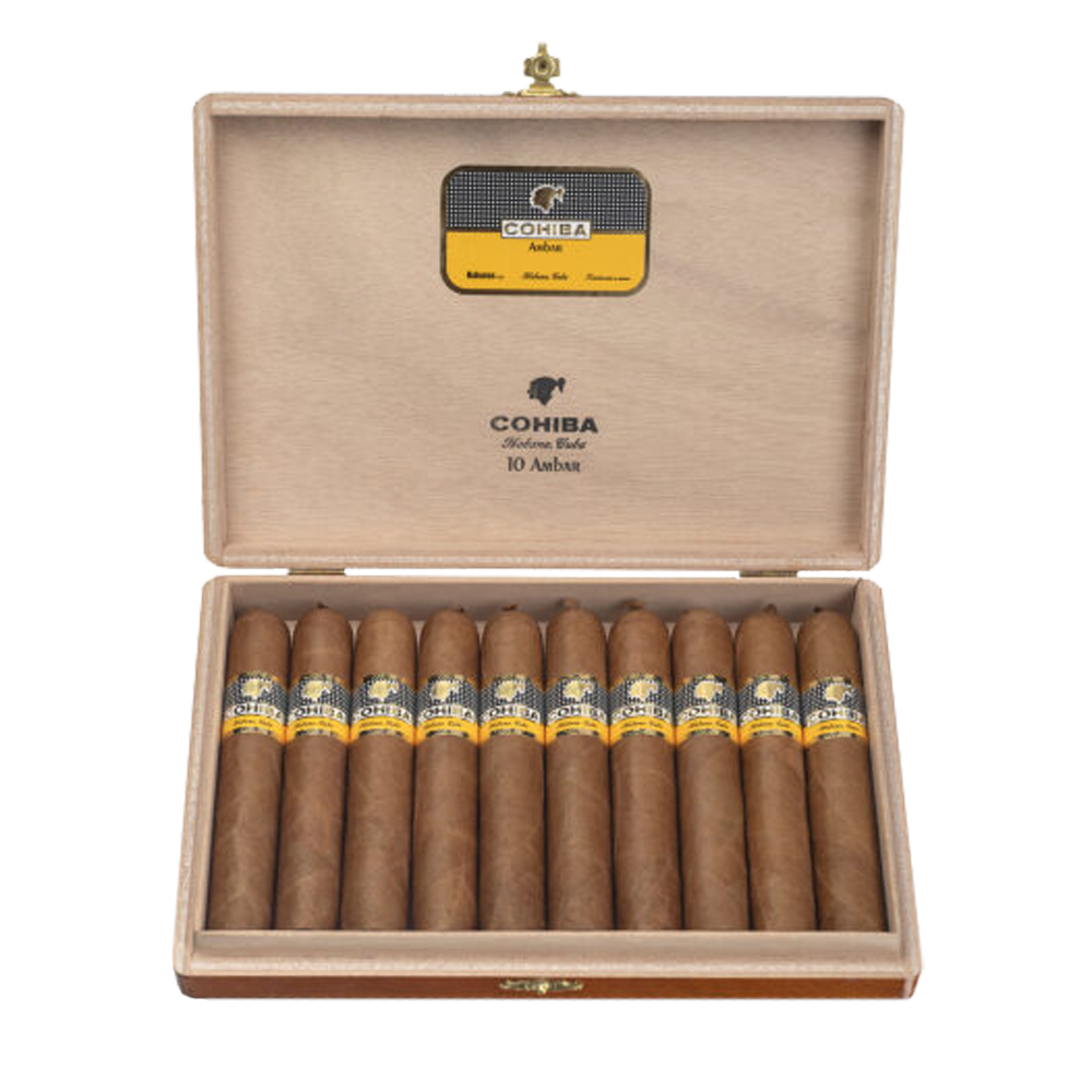 Cohiba Ambar 10er Kiste geöffnet