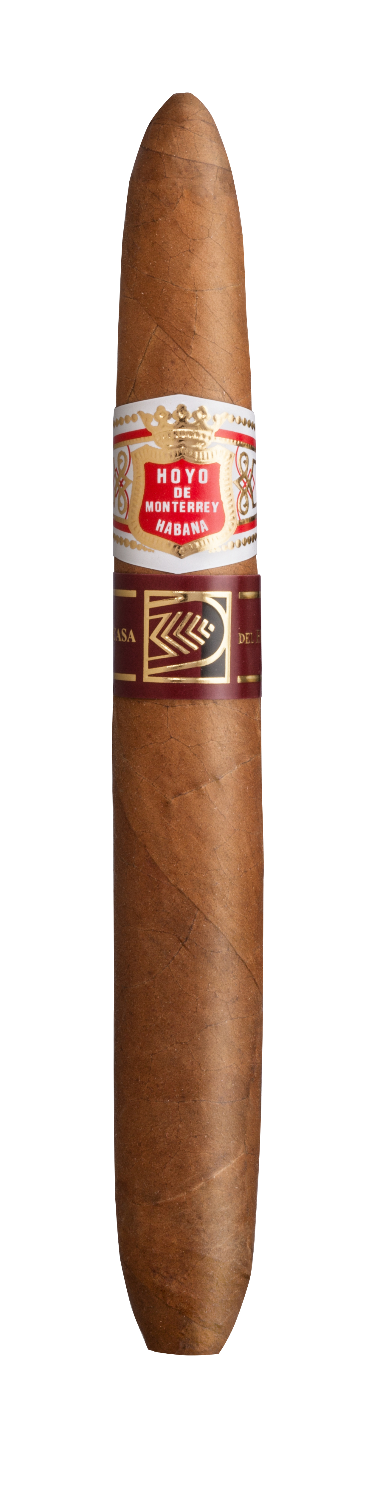 Hoyo de Monterrey Elegantes LCDH im wunderschönem Perfecto Format 