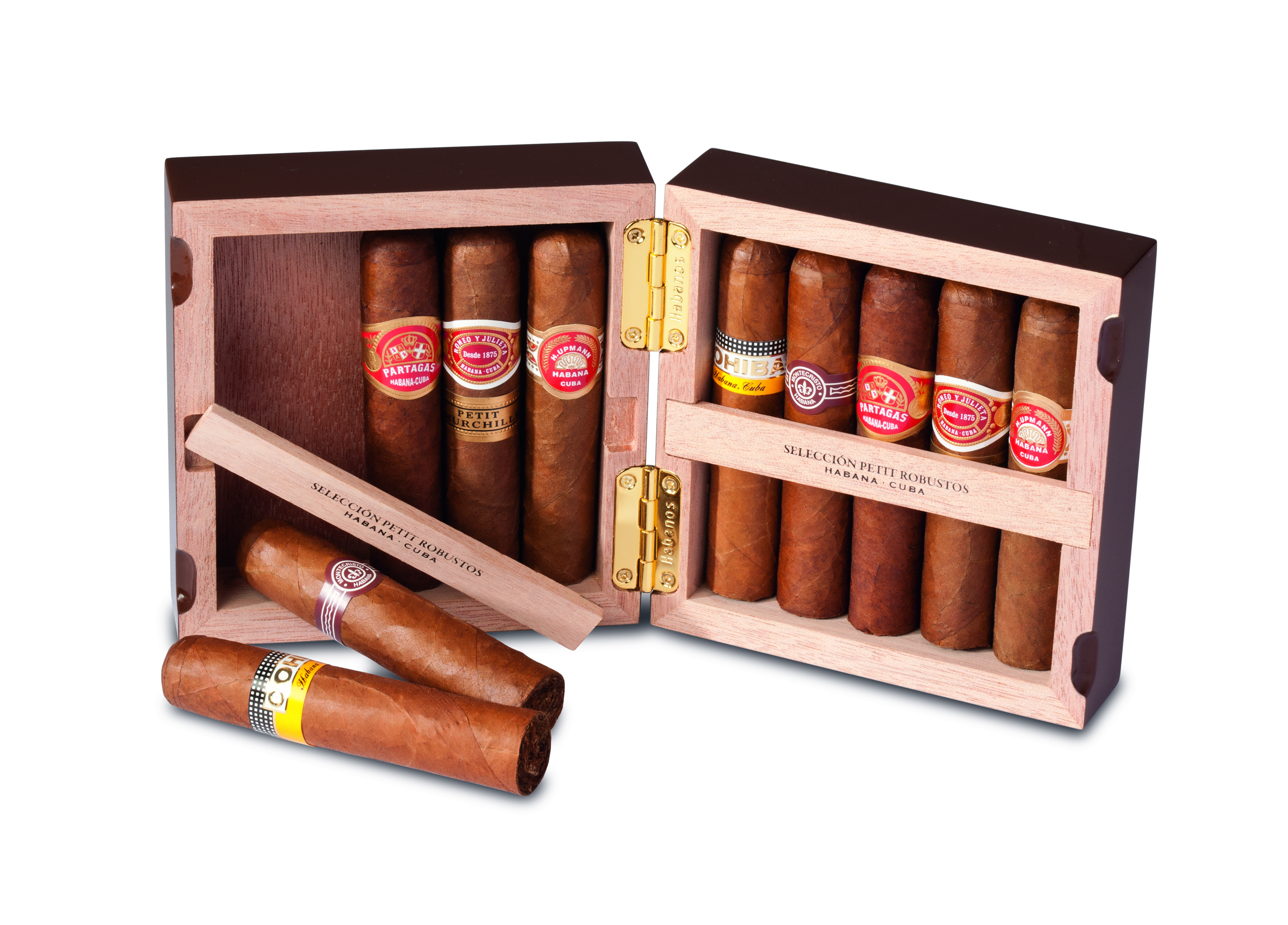 exclusive Habanos Seleccion Petit Robusto