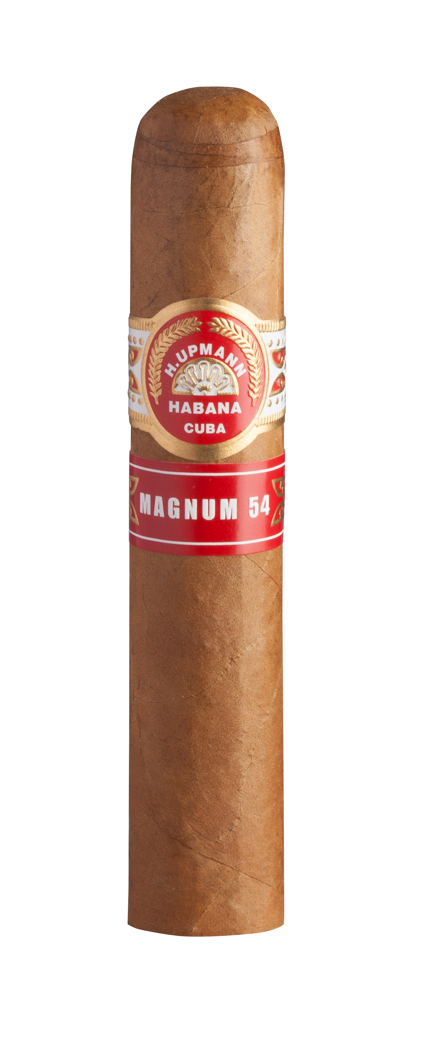 H. Upmann Magnum 54 as a short thickness with a lot of flavour 