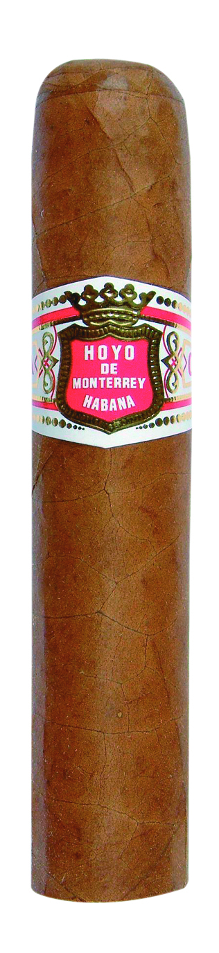 Der kurze Smoke von Hoyo de Monterrey Petit Robustos